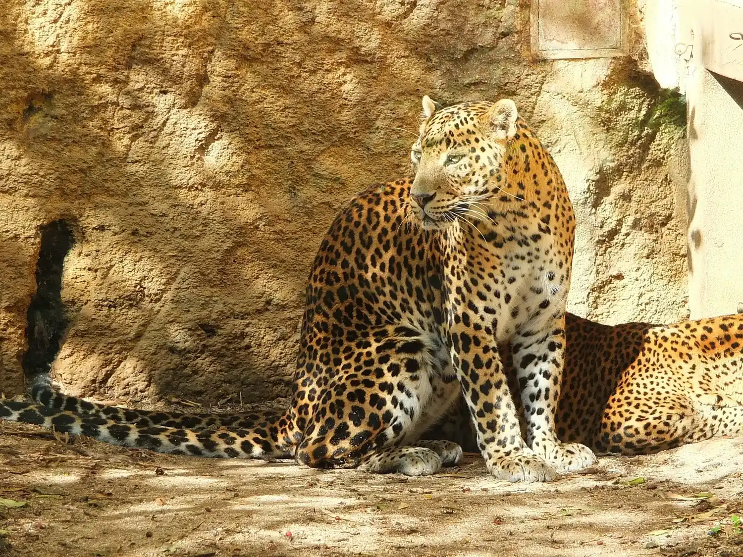 Beautiful Sri Lanka – Voyager Lanka Tours